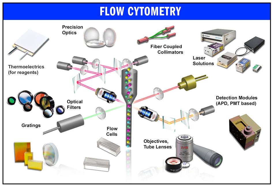 Life Sciences Portfolio