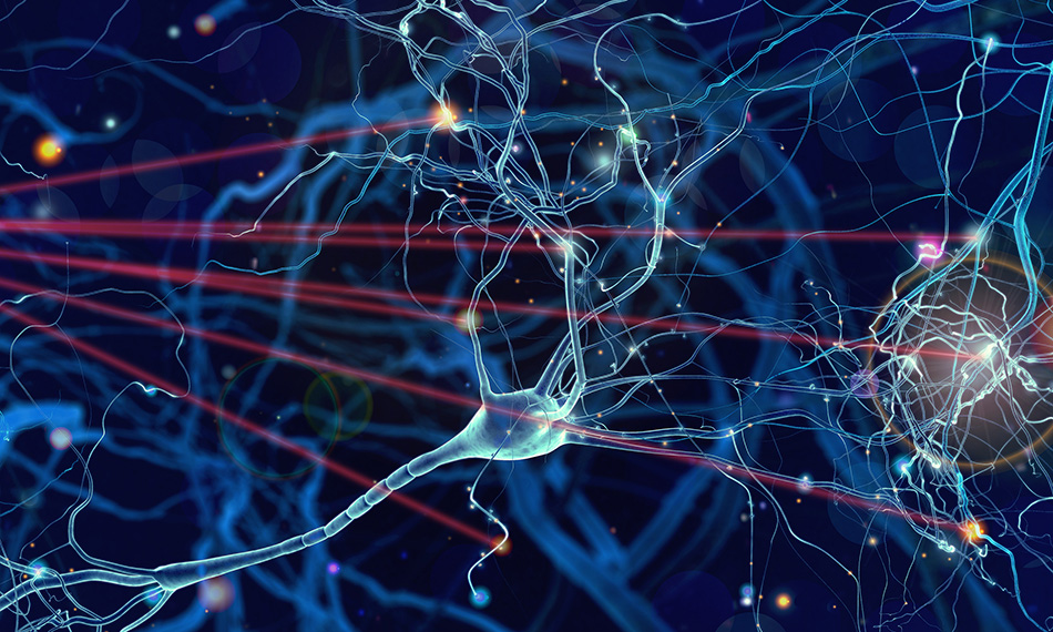 Optogenetik – Neuronen