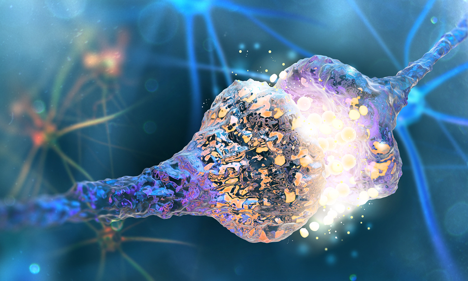 optogenetics bridging gaps