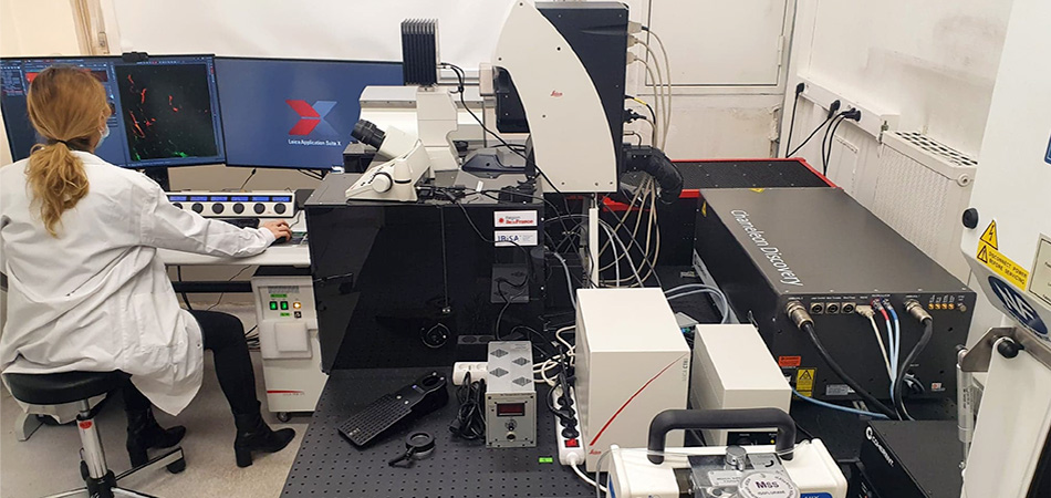 Chameleon Discovery dual laser coupled to a Leica Microsystems Dive microscope with NDD spectral detection and Falcon module in a biosafety level 2 lab. IMAG’IC core facility, Institut Cochin, Paris, France.