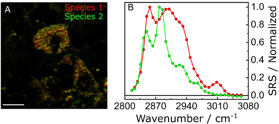 Spectrally-Resolved Images