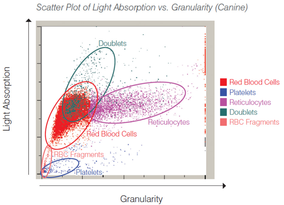 Dot Plot of Multi-Parameter Flow Cytometry