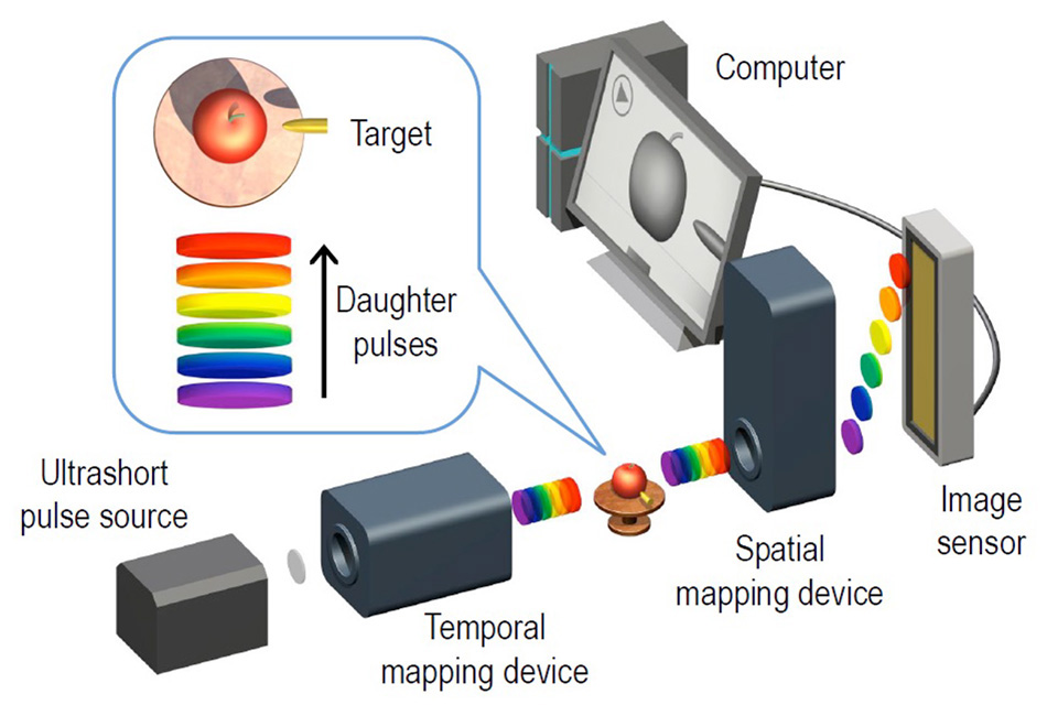 How STAMP Works