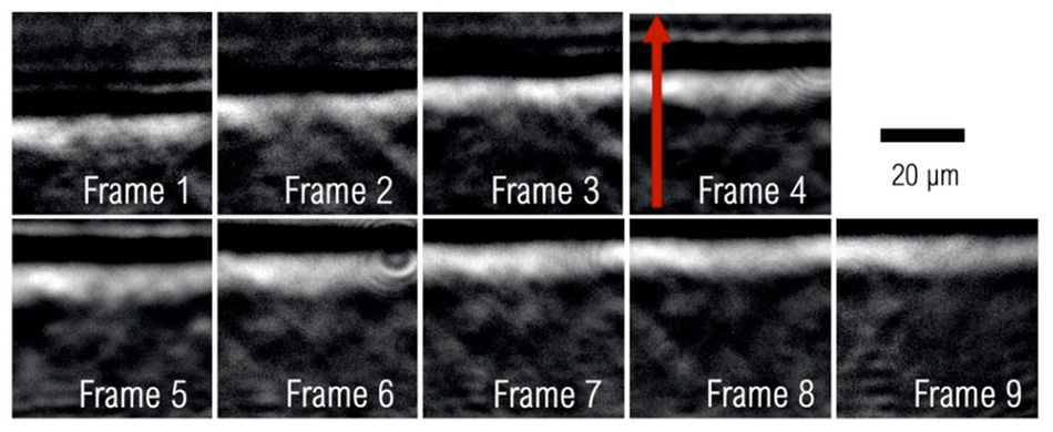 Shock Wave Propagation in Water