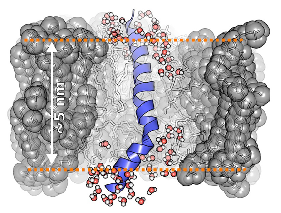 New Science Revealed by 2D IR Spectroscopy