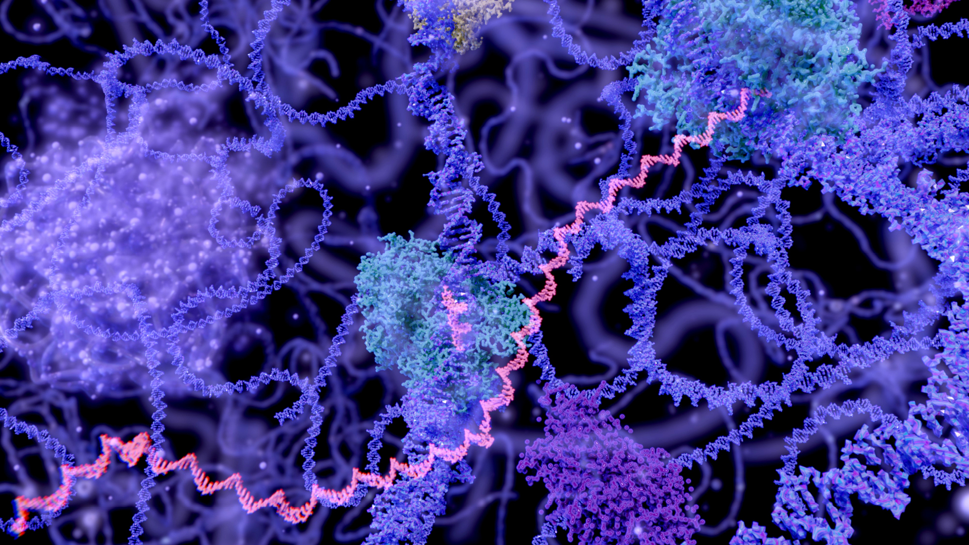 Fluorescence Detection